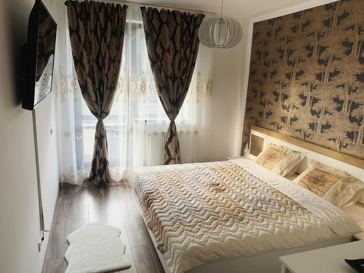 Vintage Home Sinaia Extérieur photo